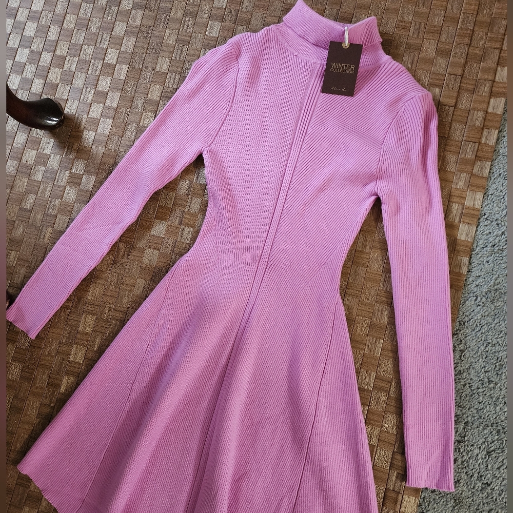 Knit Turtleneck Dress